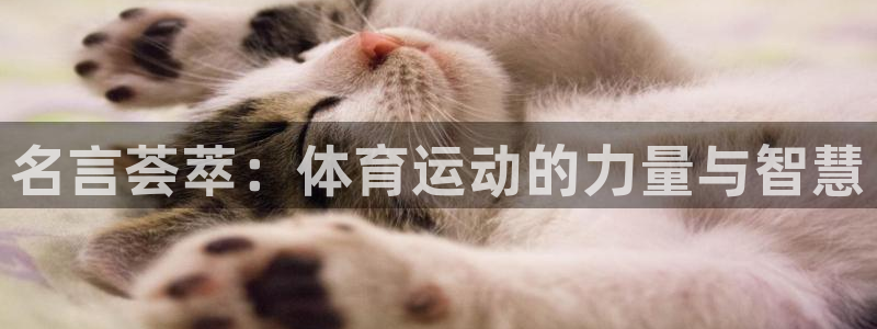 vsport体育官方正版app官方：名言荟萃：体育运