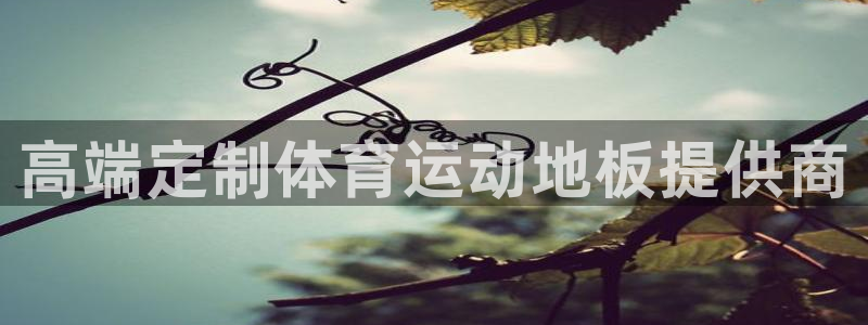 vsport体育官网下载娱乐：高端定制体育运动地板提