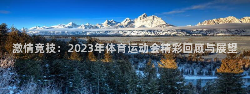 vsport体育官网下载平台假的吗是真的吗吗：激情竞