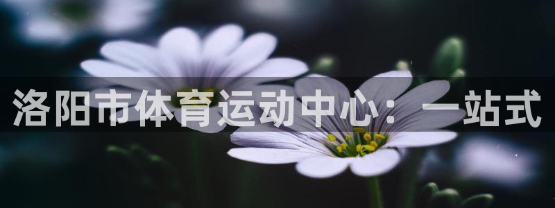 vsport体育官方正版app集团官网首页网址：洛阳