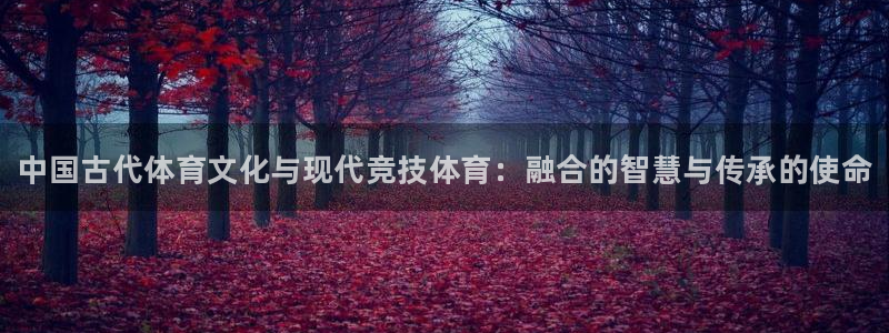德国vsport体育官方正版app集团：中国古代体育