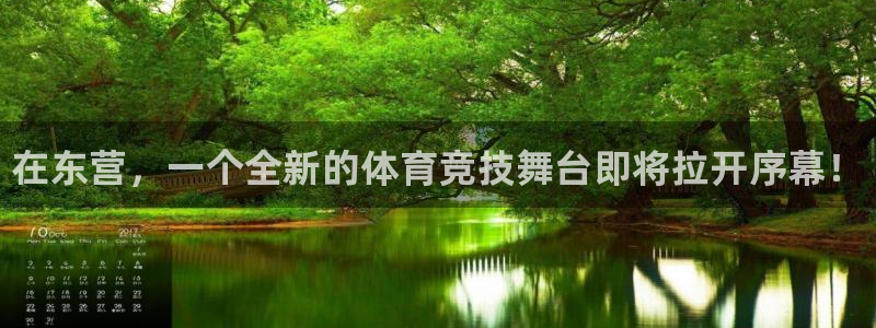 vsport体育官网下载平台是正规平台吗知乎：在东营