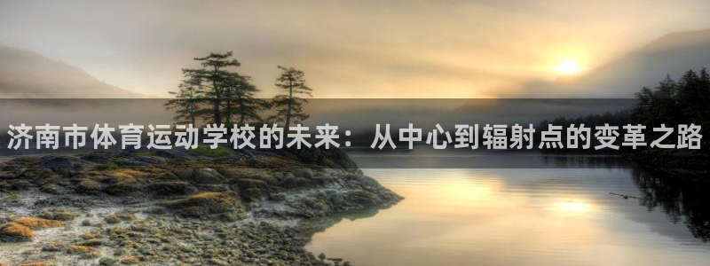 vsport体育官方正版app集团：济南市体育运动学