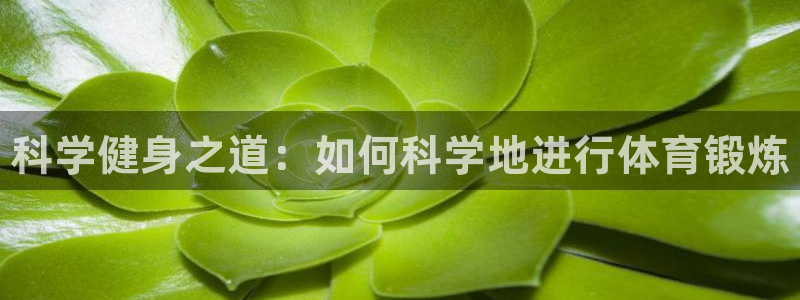 vsport体育官网下载平台假的吗是真的吗：科学健身之道：如