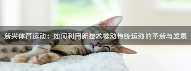 vsport体育官方集团官网：新兴体育运动：如何利用新技术推