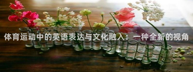vsport体育官方正版app开户：体育运动中的英语表达与文