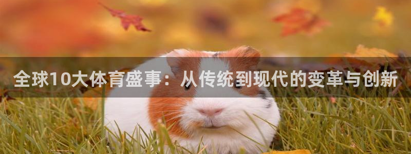 海南vsport体育官网下载发展怎么样：全球10大体育盛事：