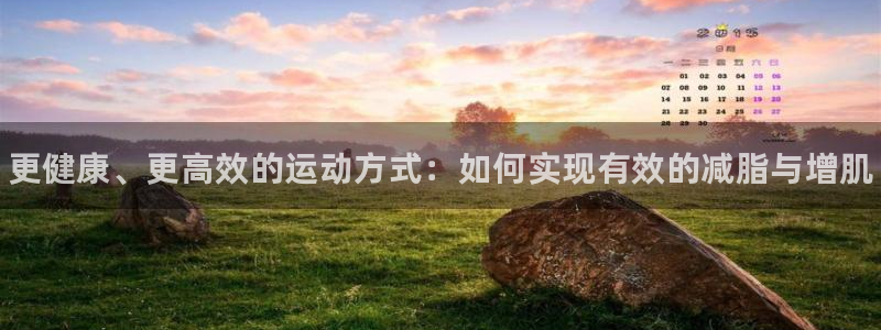 vsport体育官网下载是干嘛的公司