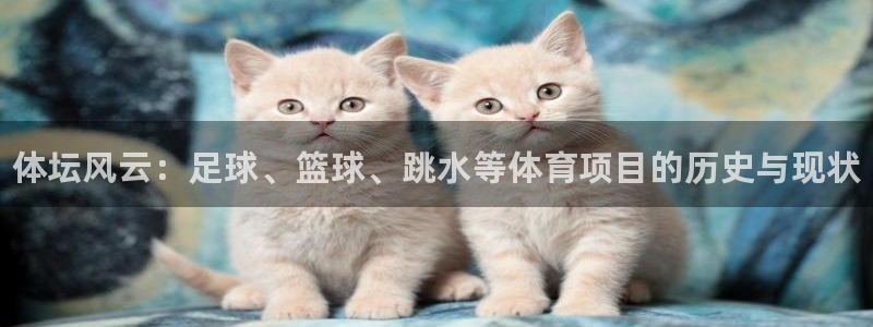 vsport体育官网下载是干嘛的公司：体坛风云：足球、篮球、