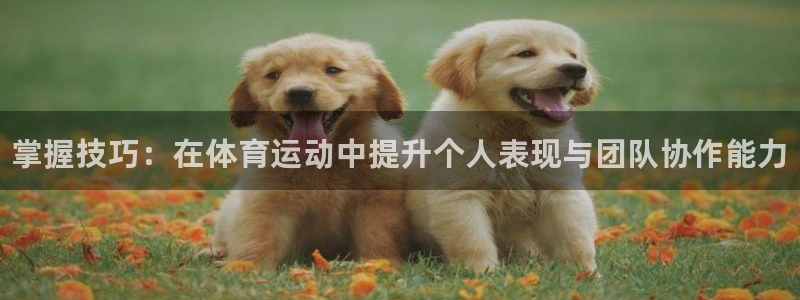 vsport体育官网下载