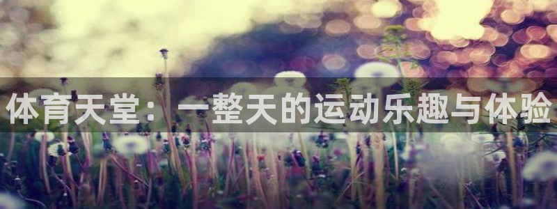 vsport体育官方平台体育：体育天堂：一整天的运动乐趣与体