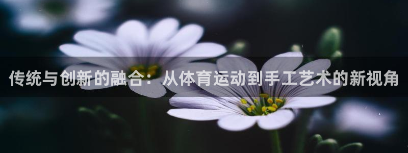 vsport体育官网下载平台是正规平台吗知乎：传统与