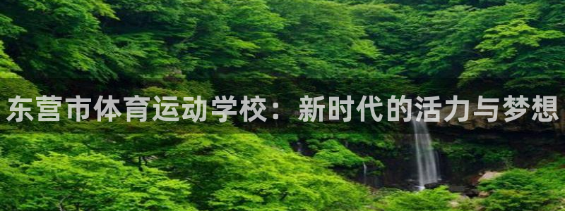 vsport体育官方正版app娱乐下载：东营市体育运