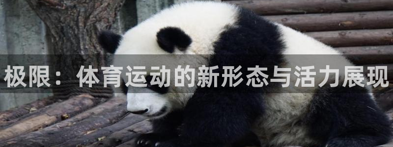 vsport体育官网下载注册：极限：体育运动的新形态