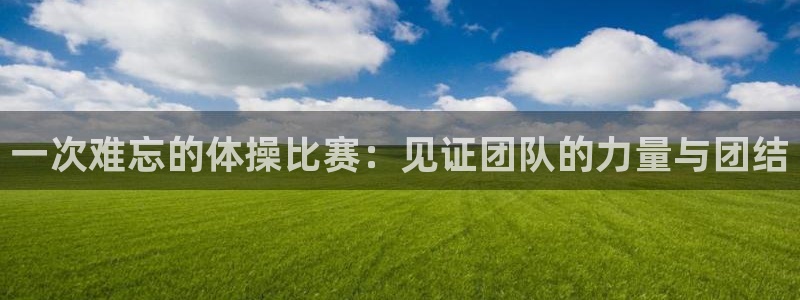 vsport体育官网下载是干嘛的公司：一次难忘的体操