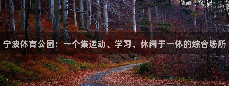 vsport体育官网下载平台是正规平台吗安全吗：宁波