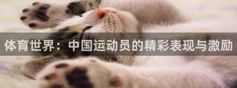 vsport体育官网下载招商电话：体育世界：中国运动