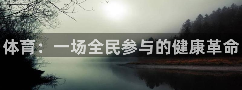 vsport体育官方正版app集团简介：体育：一场全