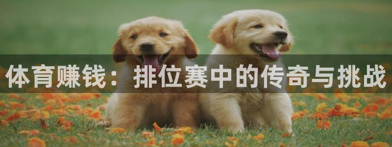 vsport体育官网下载招商电话号码是多少号：体育赚