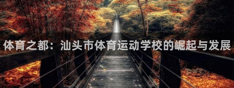 vsport体育官方正版app集团简介：体育之都：汕
