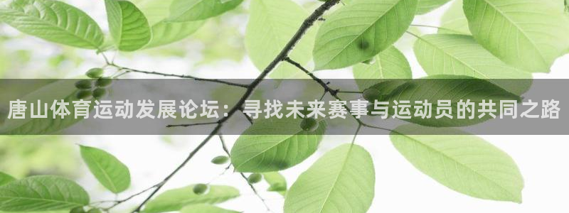 海南vsport体育官网下载发展怎么样：唐山体育运动