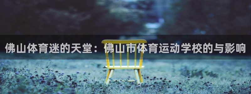 vsport体育官网下载招商电话是多少：佛山体育迷的