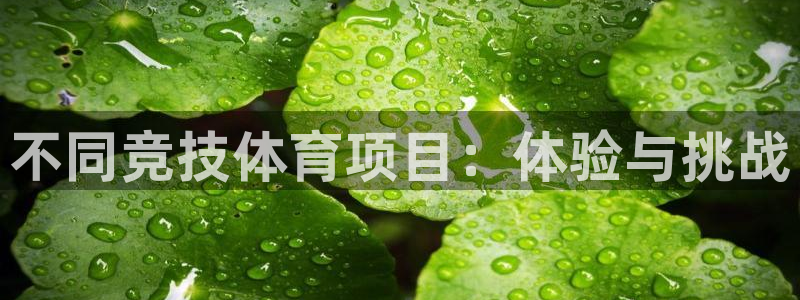 vsport体育官方正版app官网：不同竞技体育项目
