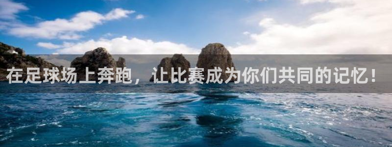 vsport体育官网下载平台注册流程图：在足球场上奔