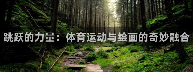 vsport体育官网下载平台假的吗是真的吗：跳跃的力