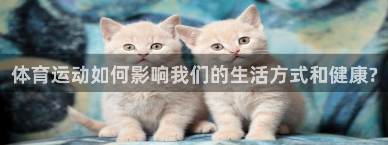 vsport体育官网下载招商电话地址是多少：体育运动