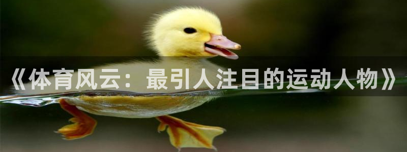 vsport体育官网下载是干嘛的公司：《体育风云：最