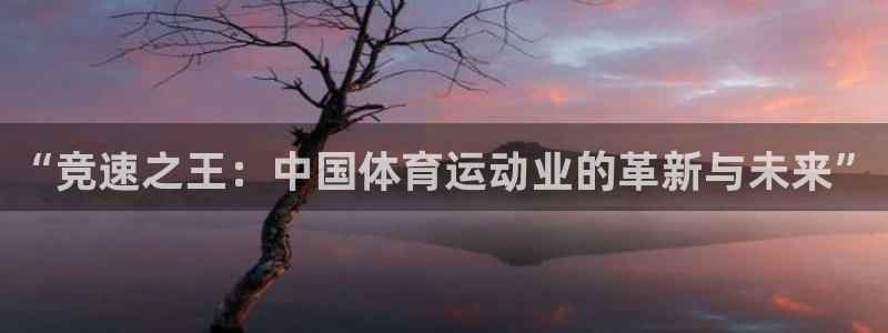 vsport体育官网下载招商电话号码是多少号：“竞速之王：中