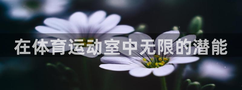 vsport体育官方正版app集团：在体育运动室中无限的潜能