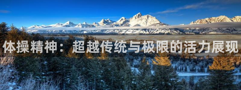 vsport体育官方正版app娱乐网站：体操精神：超越传统与