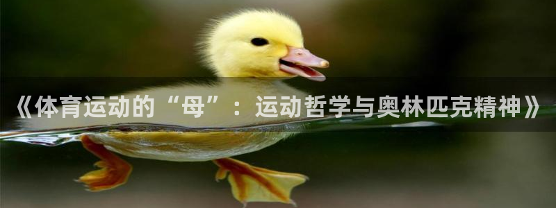 vsport体育官网下载娱乐