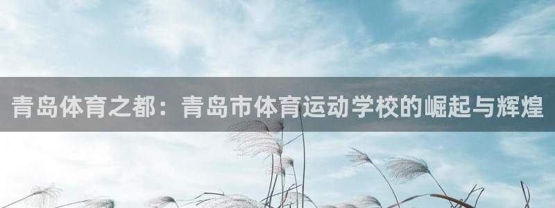 vsport体育官方正版app新能源