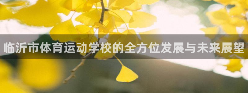 vsport体育官网下载平台注册要钱吗安全吗：临沂市体育运动