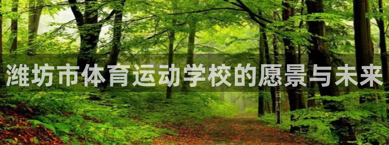 vsport体育官方正版app新能源