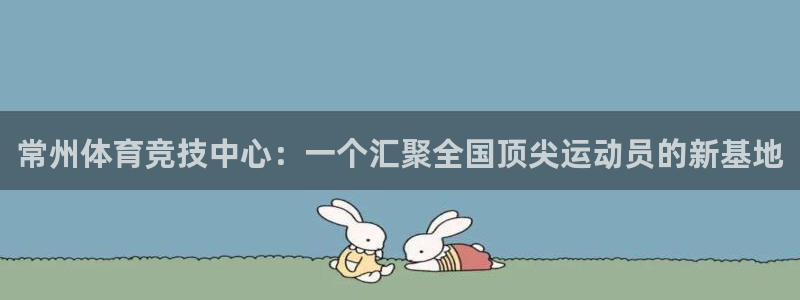 vsport体育官方正版app集团简介