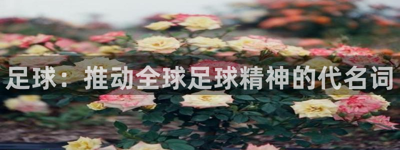 vsport体育官方正版app集团官网首页网址