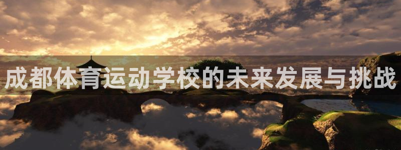 vsport体育阿根廷：成都体育运动学校的未来发展与挑战