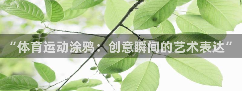  vSport体育app最新版本更新内容：“体育运动涂鸦：创意