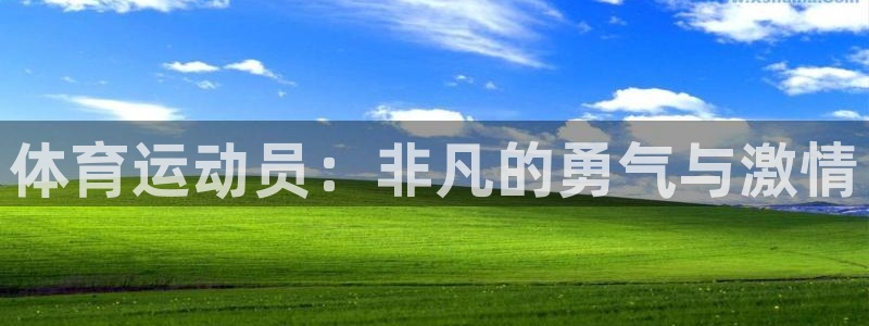  Vsport体育官方网站入口：体育运动员：非凡的勇气与激情