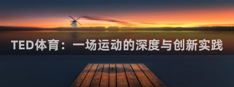 vsport体育阿根廷：TED体育：一场运动的深度与创新实践