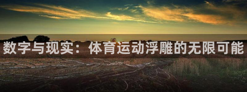  vsport体育：数字与现实：体育运动浮雕的无限可能