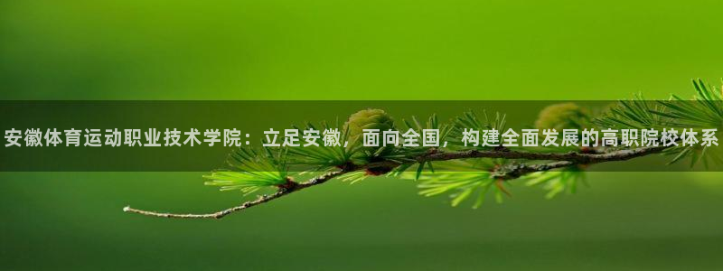 vSport体育在线登录平台：安徽体育运动职业技术学院：立足