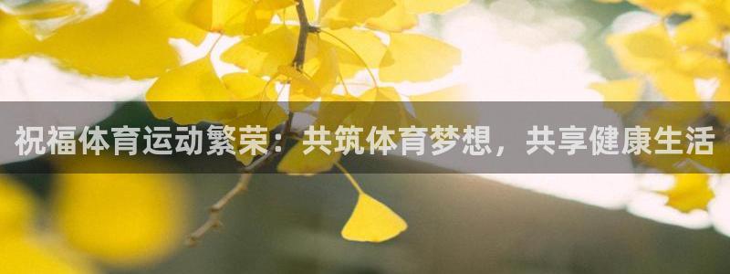  Vsport体育官方网站入口：祝福体育运动繁荣：共筑体育梦想