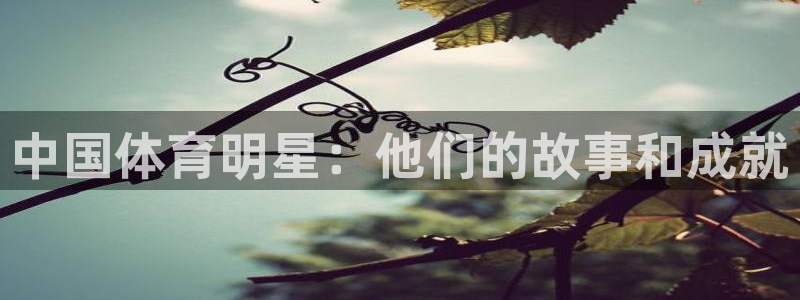 Vsport体育官网：中国体育明星：他们的故事和成就
