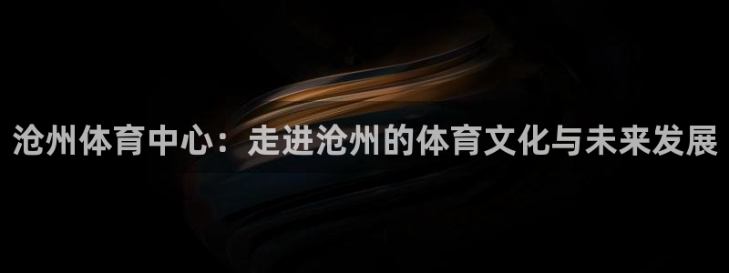 VSport体育官网入口