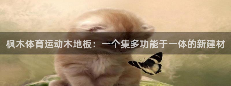 vSport体育在线登录平台